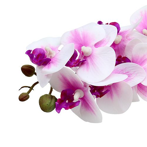 Floristik24 Orkidégren vitrosa L58cm