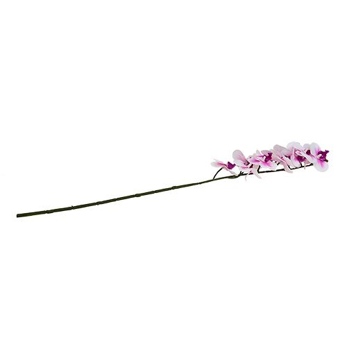 Floristik24 Orkidégren vitrosa L58cm