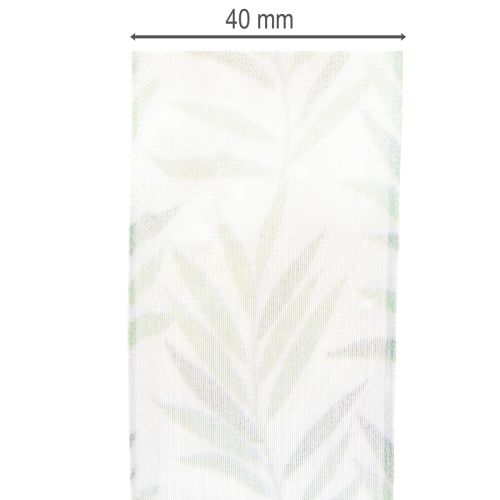 Artikel Organzaband, chiffongband, grönt växtband, 40 mm x 15 m