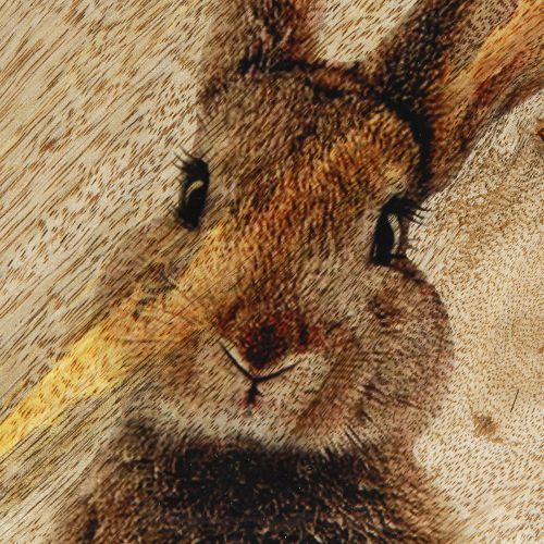 Artikel Påsktallrik Dekorativ trätallrik Kanin i Ägg Natur 25x26cm
