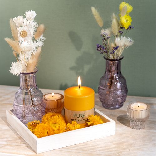 Floristik24 REN pelarljus gul honung Wenzelljus 90×70mm