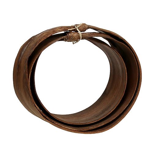 Floristik24 Palmbladssats naturligt 21cm -26cm
