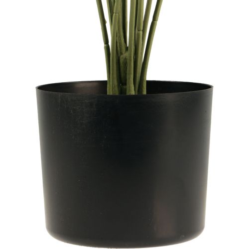 Floristik24 Palm dekorativ solfjäder palm konstgjorda växter kruka grön 80cm