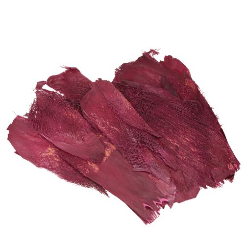 Floristik24 Palmfiber naturlig dekoration naturlig fiber Bär 25-50cm 250g