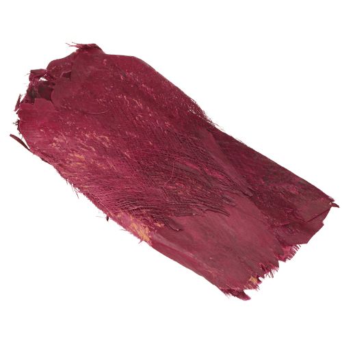 Floristik24 Palmfiber naturlig dekoration naturlig fiber Bär 25-50cm 250g