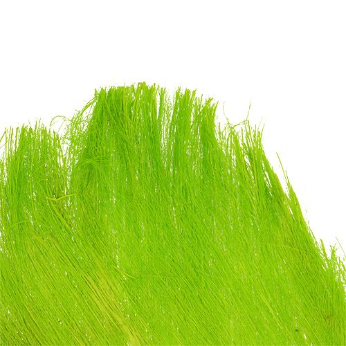 Floristik24 Palmfiber pastell ljusgrön 400gr