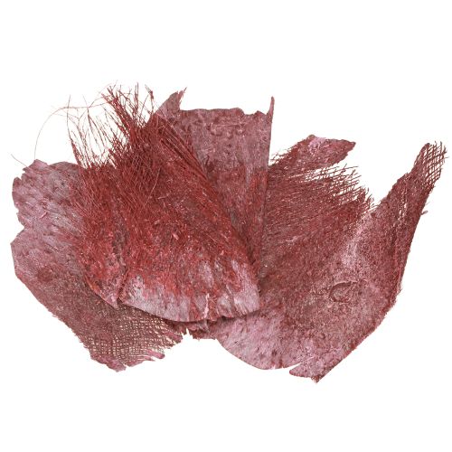 Palmfiber för hantverk Bordeaux vittvättad 20-40cm 250g