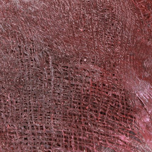Artikel Palmfiber för hantverk Bordeaux vittvättad 20-40cm 250g