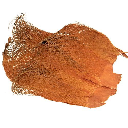 Palmfiber naturligt 1 kg