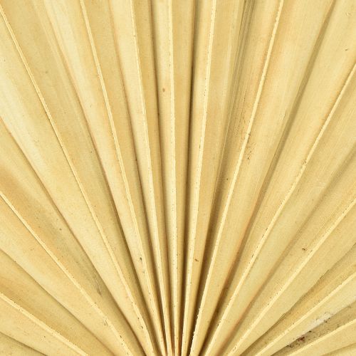 Artikel Palmspear Sun Natural Palm Leaf Torkad Naturlig Dekoration 30 st
