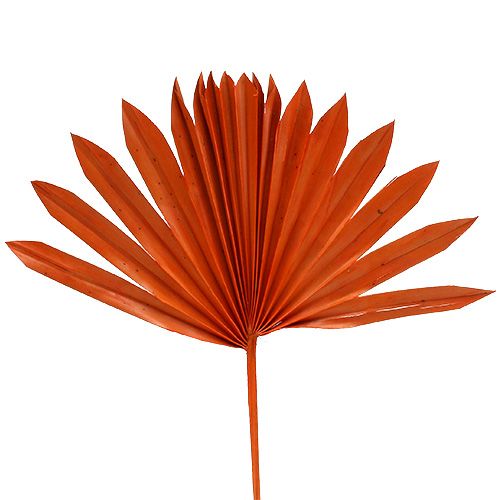 Artikel Palmspear Sun Orange 30 st