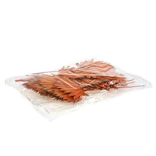 Artikel Palmspear Sun Orange 30 st