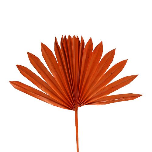 Artikel Palmspear Sun mini Orange 50 st