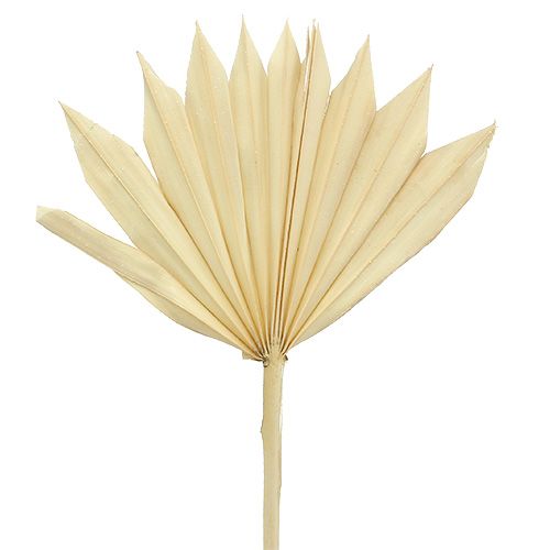 Artikel Palmspear Sun mini blekt 30 st