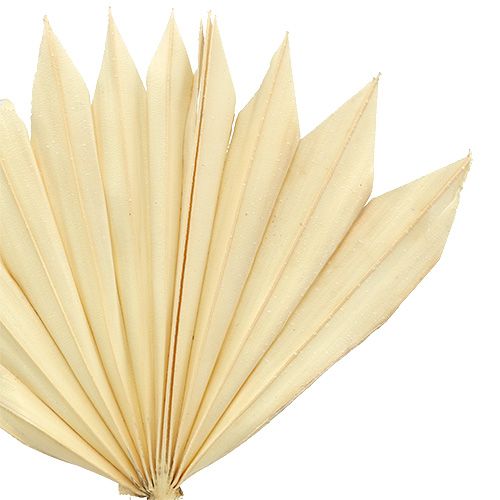 Artikel Palmspear Sun mini blekt 30 st