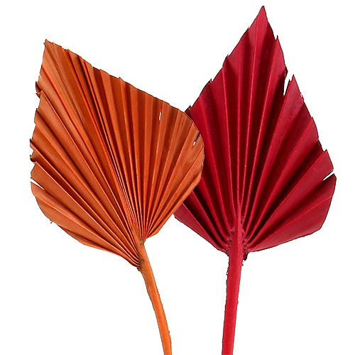 Artikel Palmspear assorterad röd/orange 50st