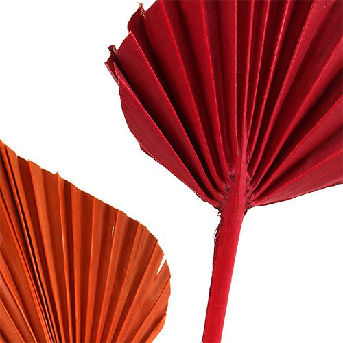 Artikel Palmspear mini sort. Röd/Orange 100 st