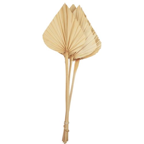 Palmspjut palmblad naturdekor blekt 12,5×38cm 4 st