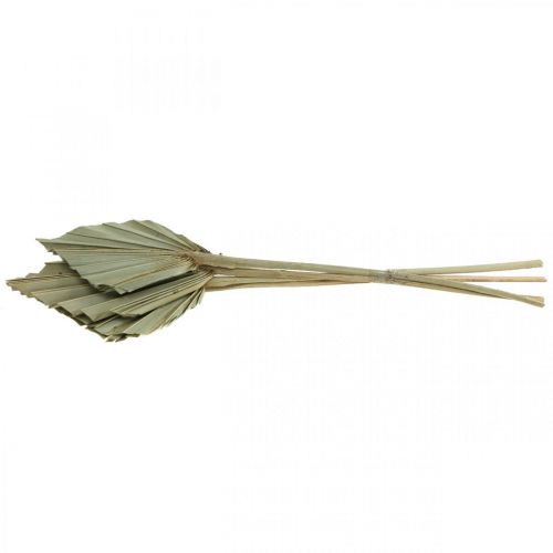 Artikel Mini palmspjut, torr blommor, adventsdekoration, minnesdagar natur L33–34cm B7–9cm 4 st.