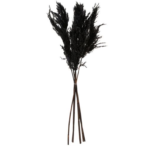 Artikel Pampas gräs svart 65-75cm torrt gräs naturdekor 6 st