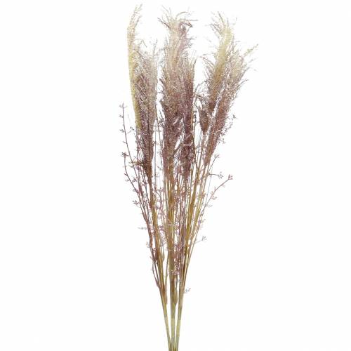 Floristik24 Pampas gräs crème, violett Konstgjorda torkade blommor 3st