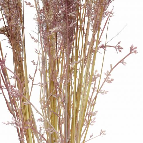 Floristik24 Pampas gräs crème, violett Konstgjorda torkade blommor 3st