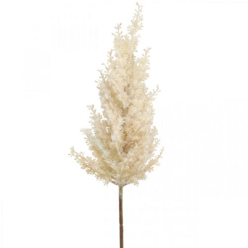 Floristik24 Pampas Grass Cream Artificiell Torr Floristics Deco Grass 72cm