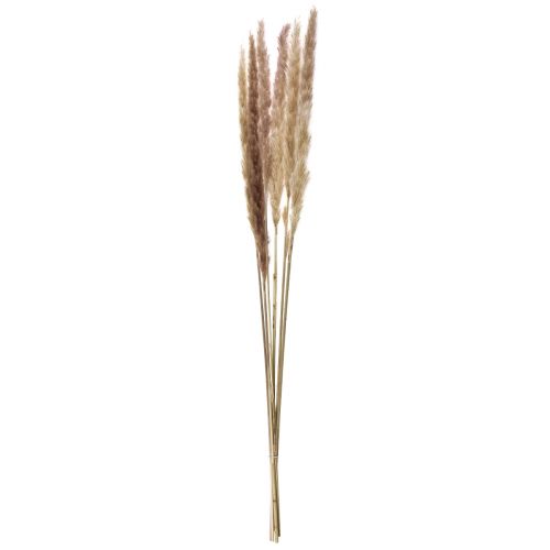Artikel Pampas Gräsdekoration Torkad Naturtorrdekoration 70cm 6 st