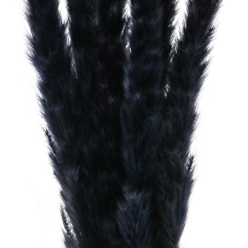 Artikel Pampas gräs svart torkad torr dekoration L72cm 6 st