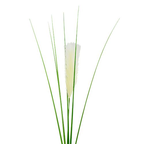 Floristik24 Pampas gräs frond krämgrön H100cm