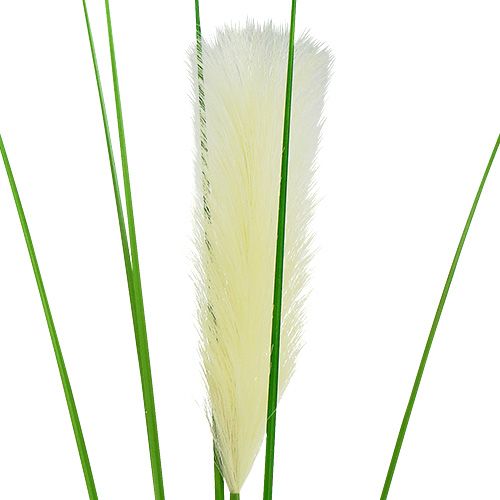 Artikel Pampas gräs frond krämgrön H100cm