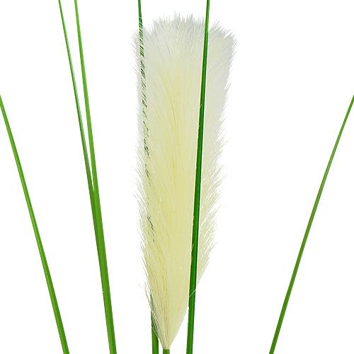 Floristik24 Pampas gräs frond krämgrön H100cm