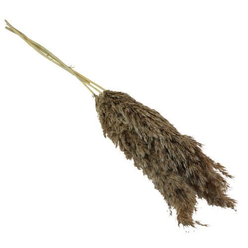 Artikel Pampas gräs torkat dekorativt torrt gräs natur 95cm 3 st