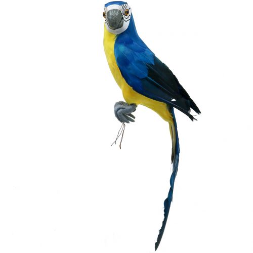 Floristik24 Dekorativ papegoja blå 44cm