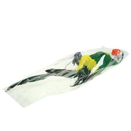 Floristik24 Dekorativ papegoja grön 44cm