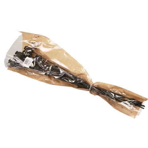 Floristik24 Torkade blommor vallmo kapslar torkad Svart Papaver 80g