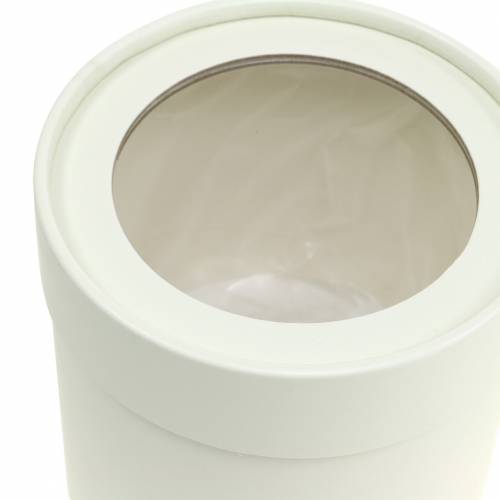 Artikel Blomlåda rund kartong kräm Ø10/12cm set om 2