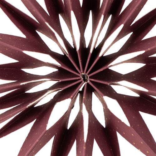 Artikel Pappersstjärnor, bordeauxrosa, för upphängning, Ø10 cm, 4 stycken