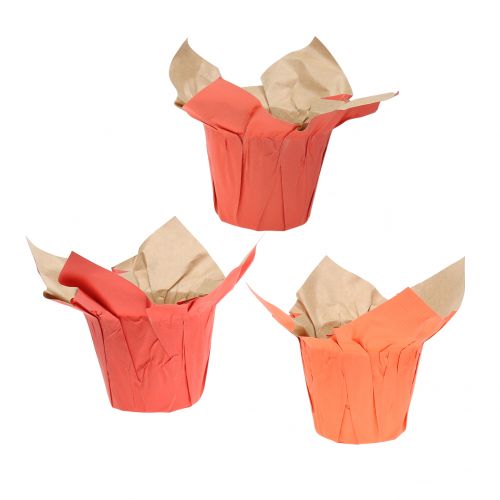 Floristik24 Papper pottenplanter orange / röd Ø8cm 12st