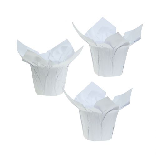 Pappersplantare vit Ø8cm 12st