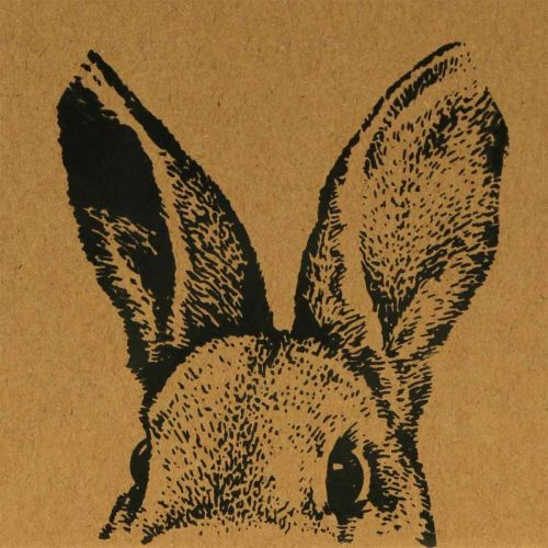Artikel Presentpåse Påskpapperspåse kaninbrun 12×6×15cm 8 st