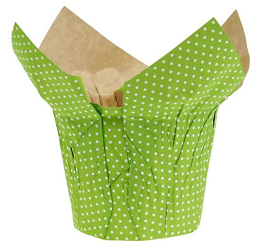 Floristik24 Papperskruka Ø10cm H8cm grön 8st
