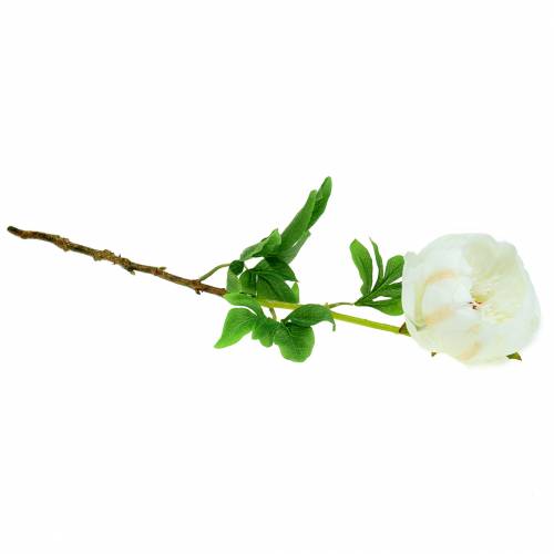 Floristik24 Pion vit 59cm