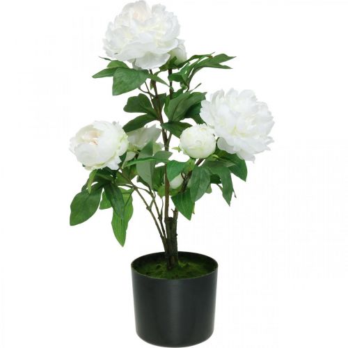Artikel Konstgjord Paeonia, pion i kruka, dekorativ växt vita blommor H57cm