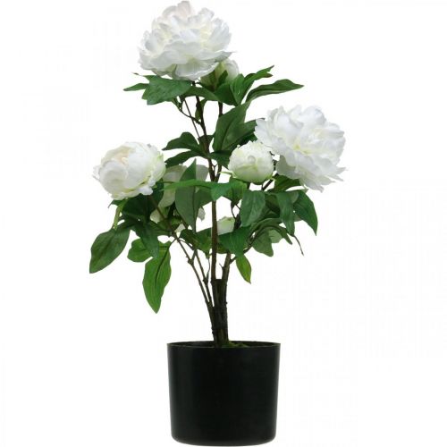 Artikel Konstgjord Paeonia, pion i kruka, dekorativ växt vita blommor H57cm