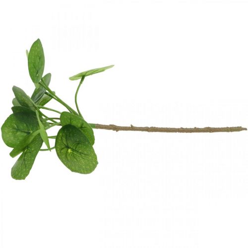 Floristik24 Peperomia Konstgjord grön växt med blad 30cm