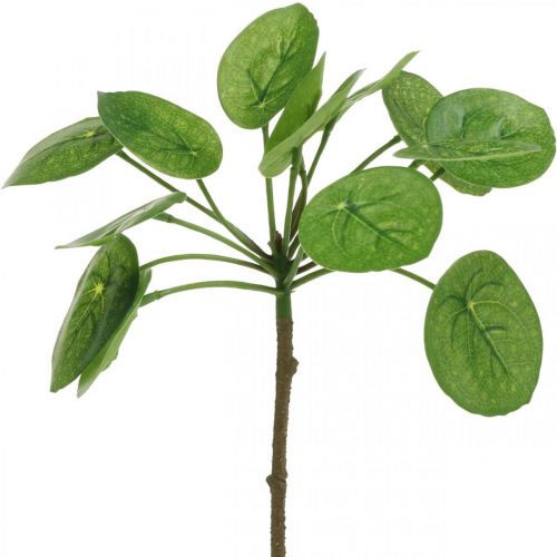 Floristik24 Peperomia Konstgjord grön växt med blad 30cm