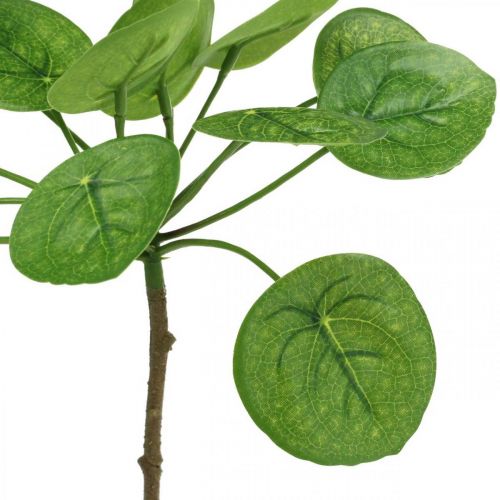Artikel Peperomia Konstgjord grön växt med blad 30cm