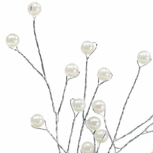 Floristik24 Pärlgrenchampagne L18cm 2 st