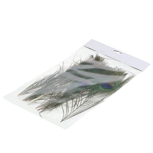 Floristik24 Påfågelfjädrar 22cm - 30,5 cm 12st